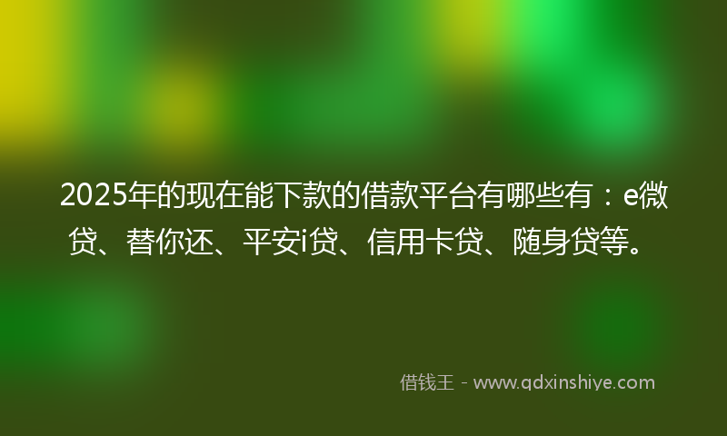 2025年的现在能下款的借款平台有哪些有：e微贷、替你还、平安i贷、信用卡贷、随身贷等。