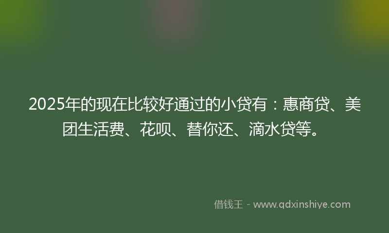 2025年的现在比较好通过的小贷有：惠商贷、美团生活费、花呗、替你还、滴水贷等。
