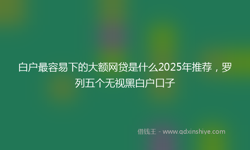 白户最容易下的大额网贷是什么2025年推荐，罗列五个无视黑白户口子
