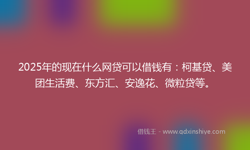 2025年的现在什么网贷可以借钱有：柯基贷、美团生活费、东方汇、安逸花、微粒贷等。