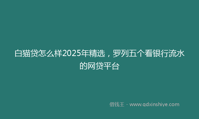 白猫贷怎么样2025年精选，罗列五个看银行流水的网贷平台