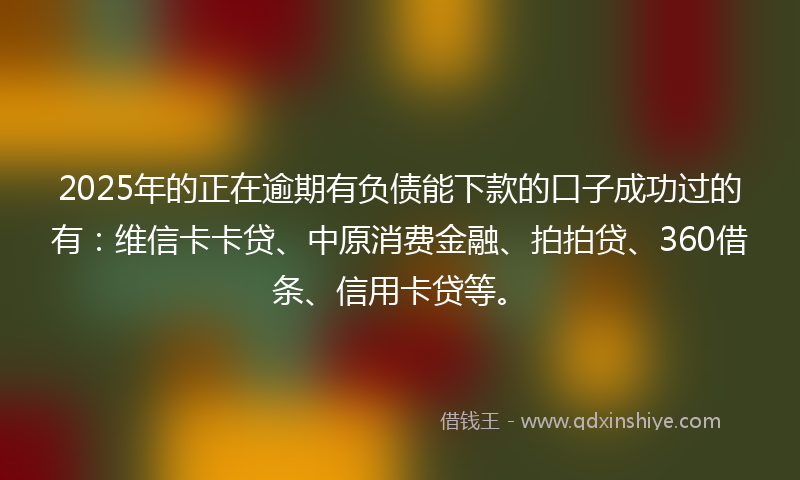 2025年的正在逾期有负债能下款的口子成功过的有：维信卡卡贷、中原消费金融、拍拍贷、360借条、信用卡贷等。