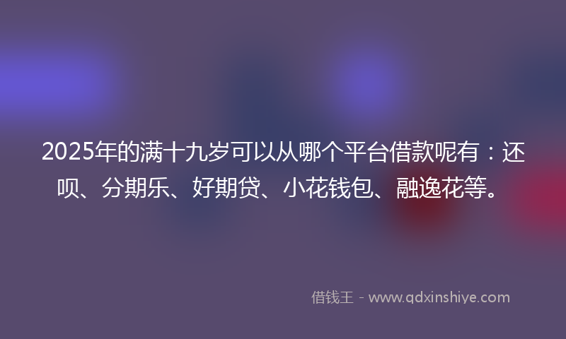2025年的满十九岁可以从哪个平台借款呢有：还呗、分期乐、好期贷、小花钱包、融逸花等。