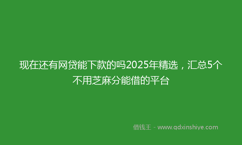 现在还有网贷能下款的吗2025年精选，汇总5个不用芝麻分能借的平台