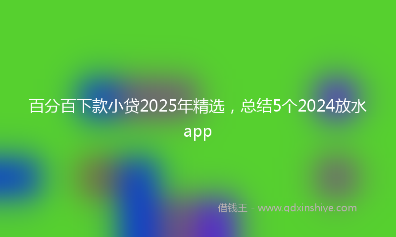 百分百下款小贷2025年精选，总结5个2024放水app