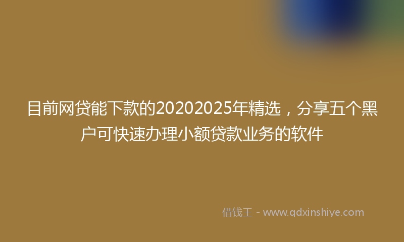 目前网贷能下款的20202025年精选，分享五个黑户可快速办理小额贷款业务的软件