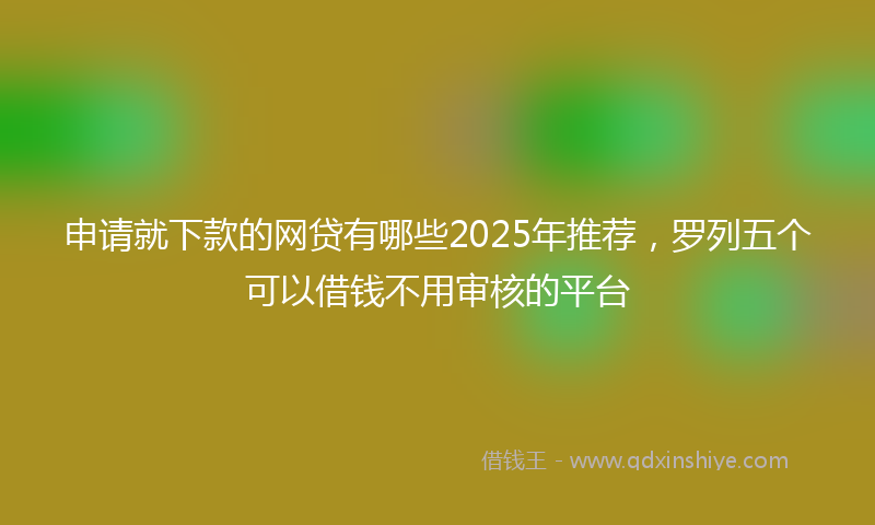申请就下款的网贷有哪些2025年推荐，罗列五个可以借钱不用审核的平台