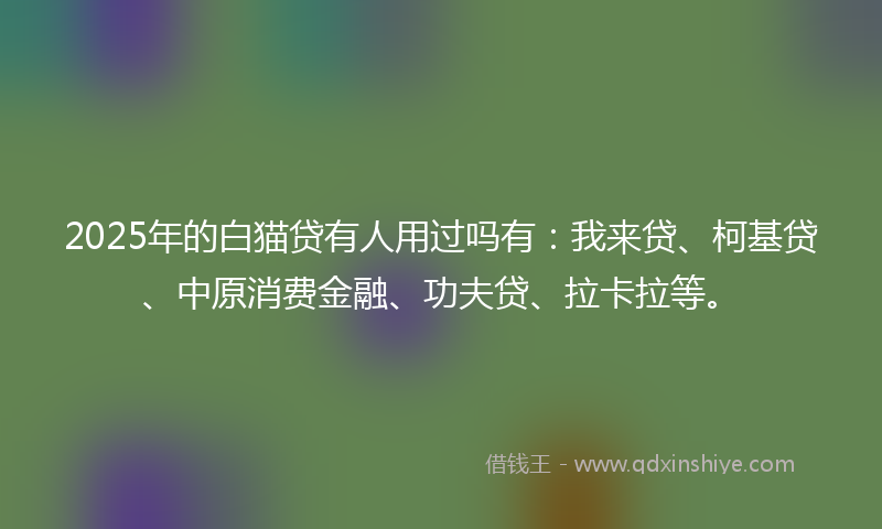 2025年的白猫贷有人用过吗有：我来贷、柯基贷、中原消费金融、功夫贷、拉卡拉等。