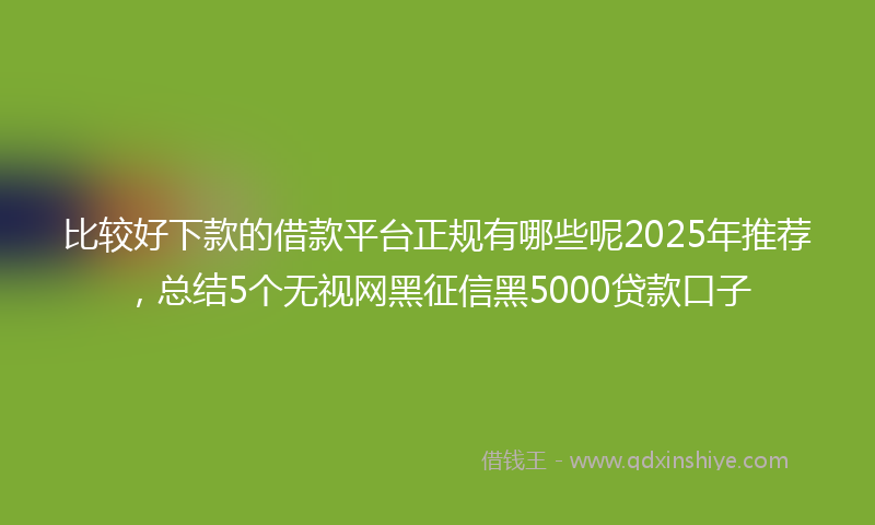 比较好下款的借款平台正规有哪些呢2025年推荐，总结5个无视网黑征信黑5000贷款口子
