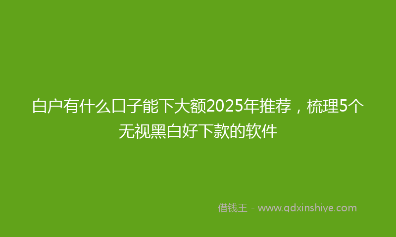 白户有什么口子能下大额2025年推荐，梳理5个无视黑白好下款的软件