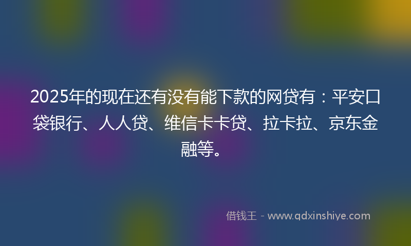 2025年的现在还有没有能下款的网贷有：平安口袋银行、人人贷、维信卡卡贷、拉卡拉、京东金融等。
