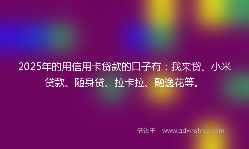 2025年的用信用卡贷款的口子有：我来贷、小米贷款、随身贷、拉卡拉、融逸花等。