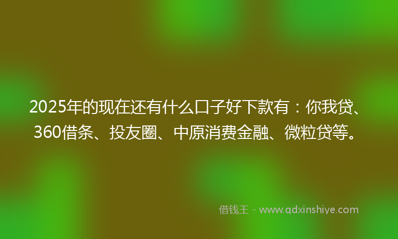 2025年的现在还有什么口子好下款有：你我贷、360借条、投友圈、中原消费金融、微粒贷等。