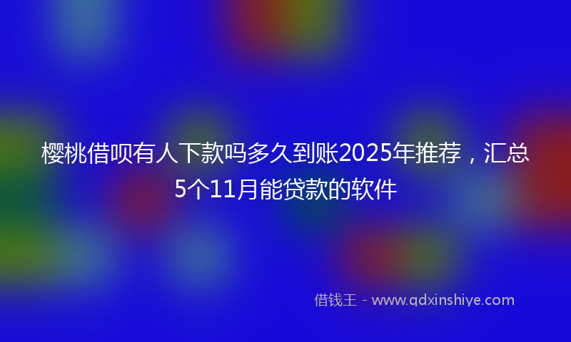 樱桃借呗有人下款吗多久到账2025年推荐，汇总5个11月能贷款的软件