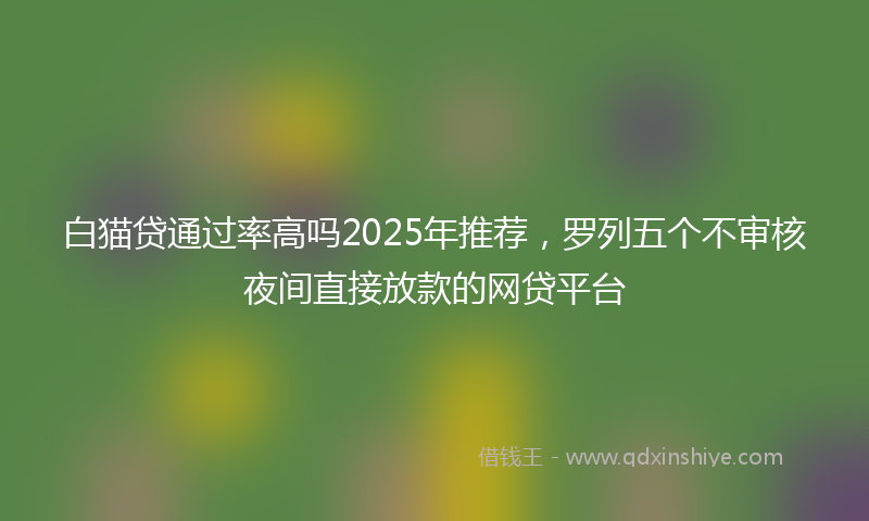 白猫贷通过率高吗2025年推荐，罗列五个不审核夜间直接放款的网贷平台
