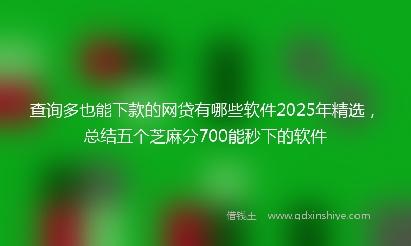 查询多也能下款的网贷有哪些软件2025年精选，总结五个芝麻分700能秒下的软件