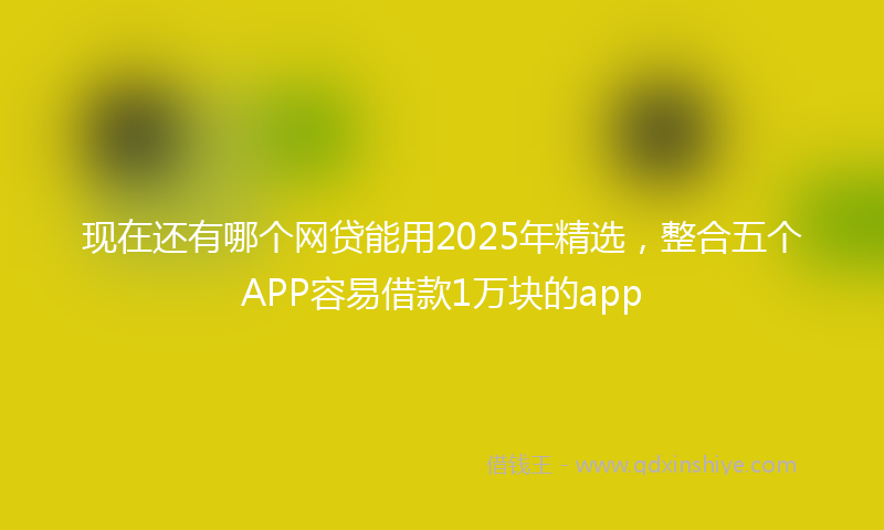 现在还有哪个网贷能用2025年精选，整合五个APP容易借款1万块的app