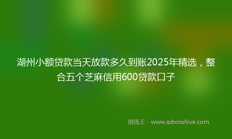 湖州小额贷款当天放款多久到账2025年精选，整合五个芝麻信用600贷款口子