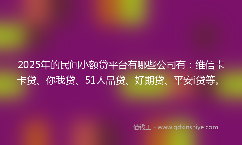2025年的民间小额贷平台有哪些公司有：维信卡卡贷、你我贷、51人品贷、好期贷、平安i贷等。