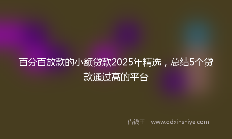 百分百放款的小额贷款2025年精选，总结5个贷款通过高的平台
