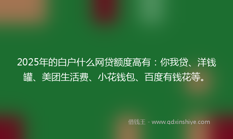 2025年的白户什么网贷额度高有：你我贷、洋钱罐、美团生活费、小花钱包、百度有钱花等。