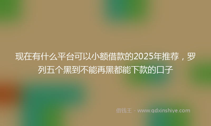 现在有什么平台可以小额借款的2025年推荐，罗列五个黑到不能再黑都能下款的口子