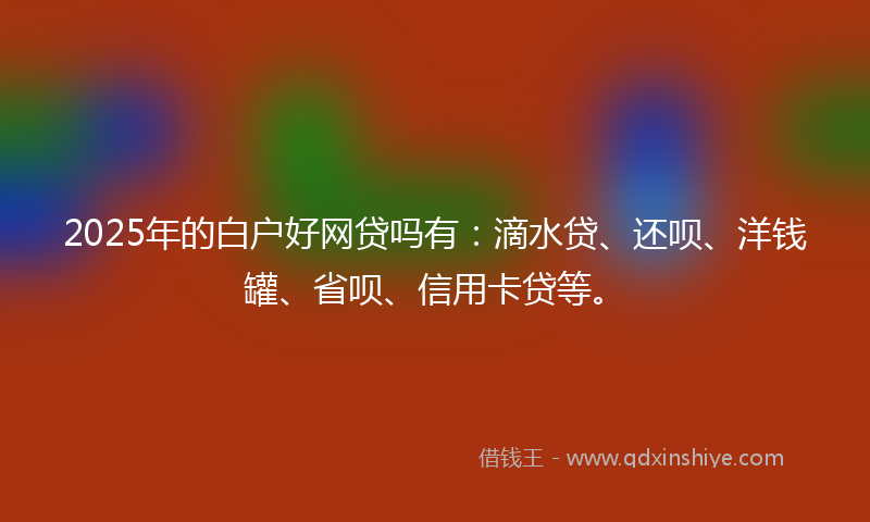 2025年的白户好网贷吗有：滴水贷、还呗、洋钱罐、省呗、信用卡贷等。