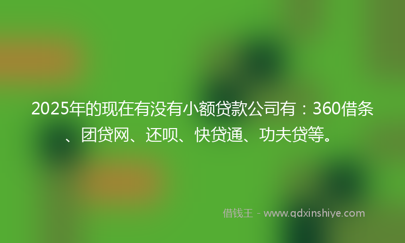 2025年的现在有没有小额贷款公司有：360借条、团贷网、还呗、快贷通、功夫贷等。