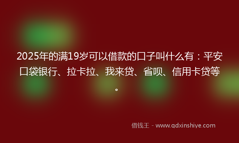 2025年的满19岁可以借款的口子叫什么有：平安口袋银行、拉卡拉、我来贷、省呗、信用卡贷等。