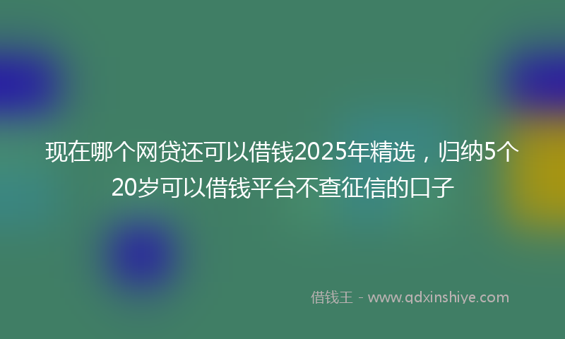 现在哪个网贷还可以借钱2025年精选，归纳5个20岁可以借钱平台不查征信的口子