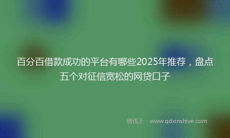 百分百借款成功的平台有哪些2025年推荐，盘点五个对征信宽松的网贷口子