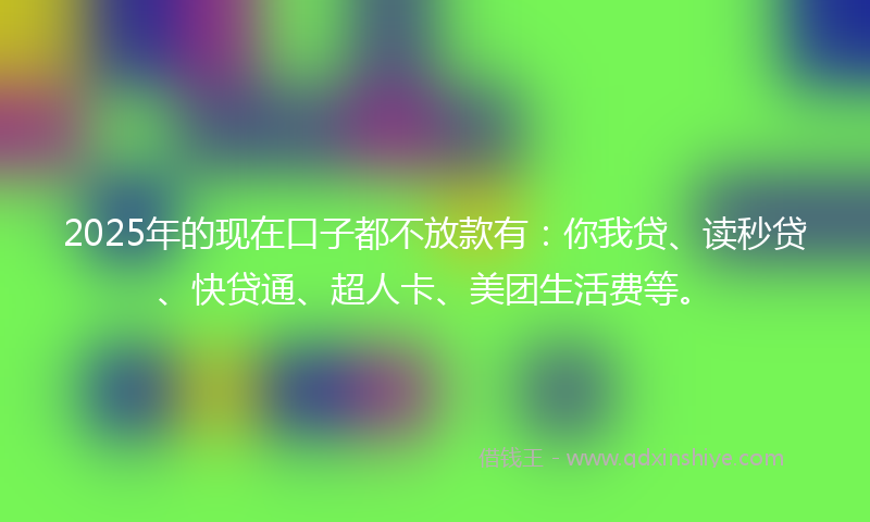 2025年的现在口子都不放款有：你我贷、读秒贷、快贷通、超人卡、美团生活费等。