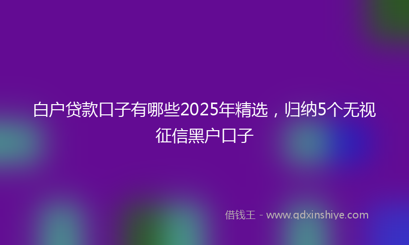 白户贷款口子有哪些2025年精选,归纳5个无视征信黑户口子