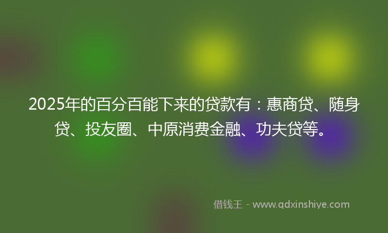 2025年的百分百能下来的贷款有：惠商贷、随身贷、投友圈、中原消费金融、功夫贷等。