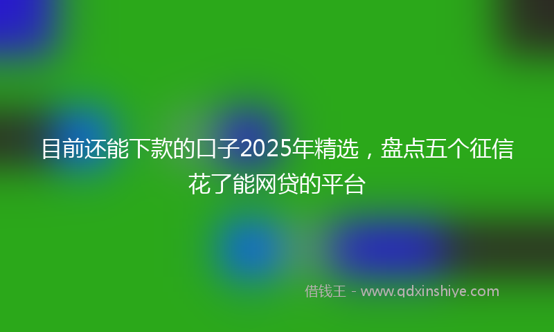 目前还能下款的口子2025年精选，盘点五个征信花了能网贷的平台