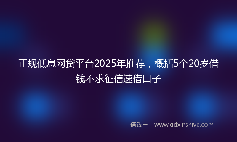 正规低息网贷平台2025年推荐，概括5个20岁借钱不求征信速借口子