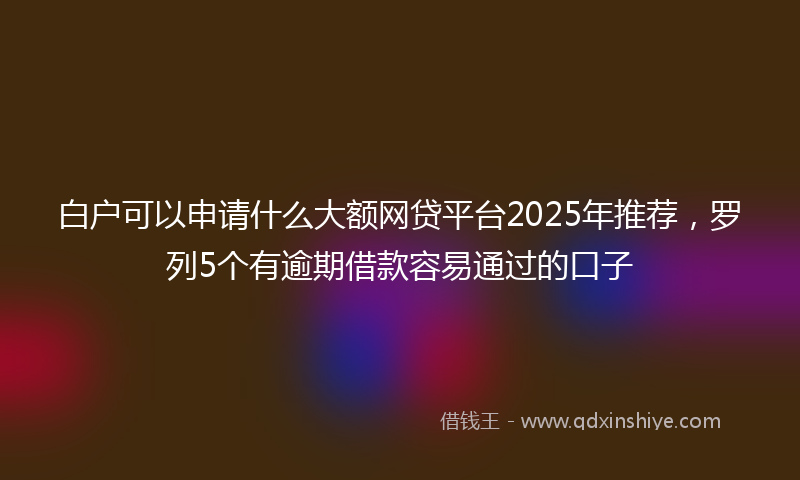白户可以申请什么大额网贷平台2025年推荐，罗列5个有逾期借款容易通过的口子