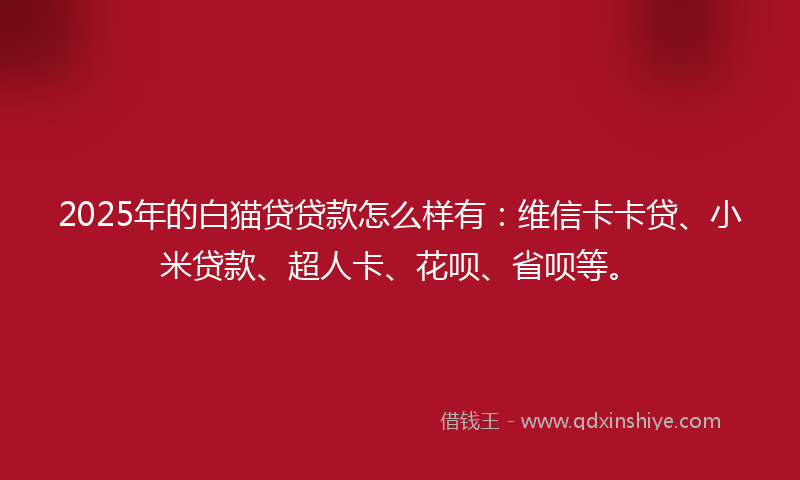 2025年的白猫贷贷款怎么样有：维信卡卡贷、小米贷款、超人卡、花呗、省呗等。