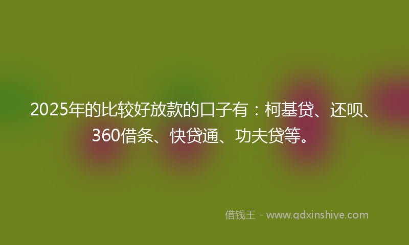 2025年的比较好放款的口子有：柯基贷、还呗、360借条、快贷通、功夫贷等。