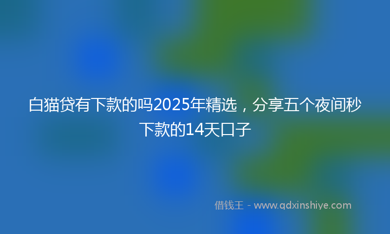 白猫贷有下款的吗2025年精选，分享五个夜间秒下款的14天口子