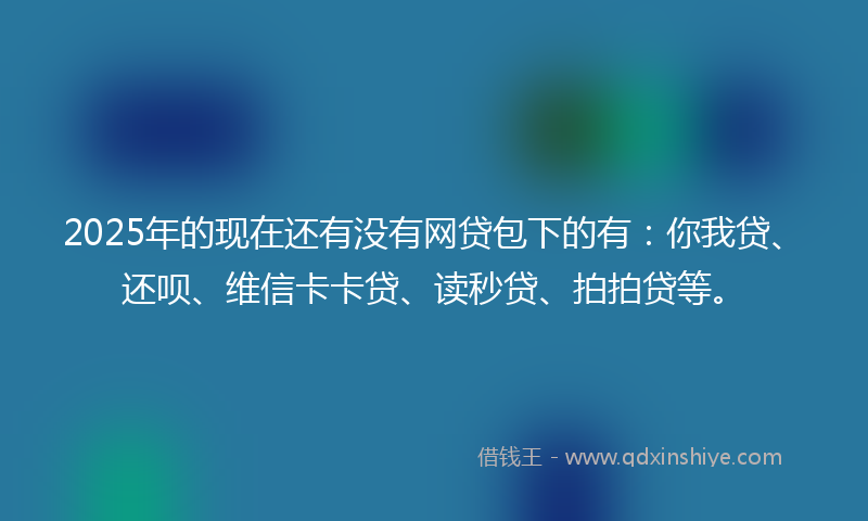 2025年的现在还有没有网贷包下的有:你我贷、还呗、维信卡卡贷、读秒贷、拍拍贷等。