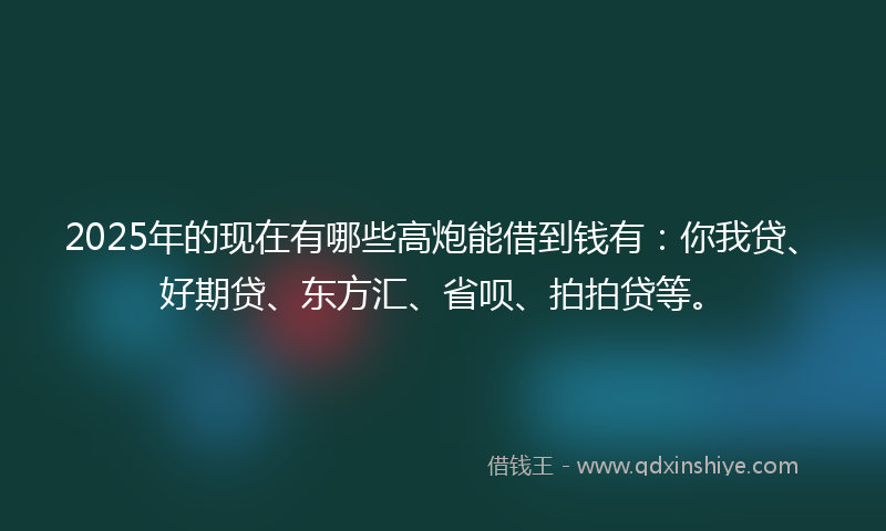 2025年的现在有哪些高炮能借到钱有：你我贷、好期贷、东方汇、省呗、拍拍贷等。