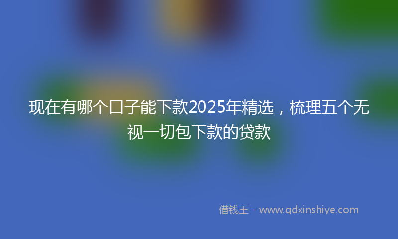现在有哪个口子能下款2025年精选，梳理五个无视一切包下款的贷款
