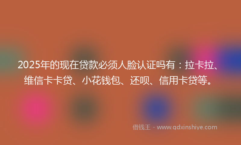 2025年的现在贷款必须人脸认证吗有：拉卡拉、维信卡卡贷、小花钱包、还呗、信用卡贷等。