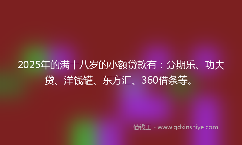 2025年的满十八岁的小额贷款有：分期乐、功夫贷、洋钱罐、东方汇、360借条等。