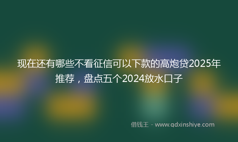 现在还有哪些不看征信可以下款的高炮贷2025年推荐,盘点五个2024放水口子