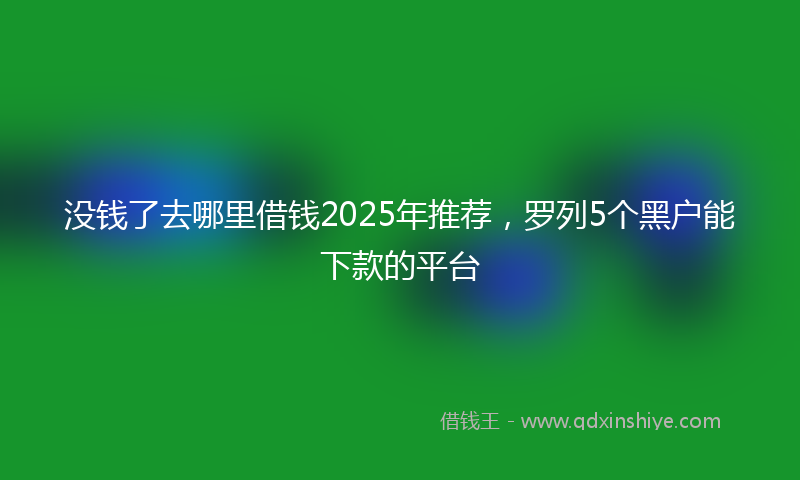 没钱了去哪里借钱2025年推荐，罗列5个黑户能下款的平台