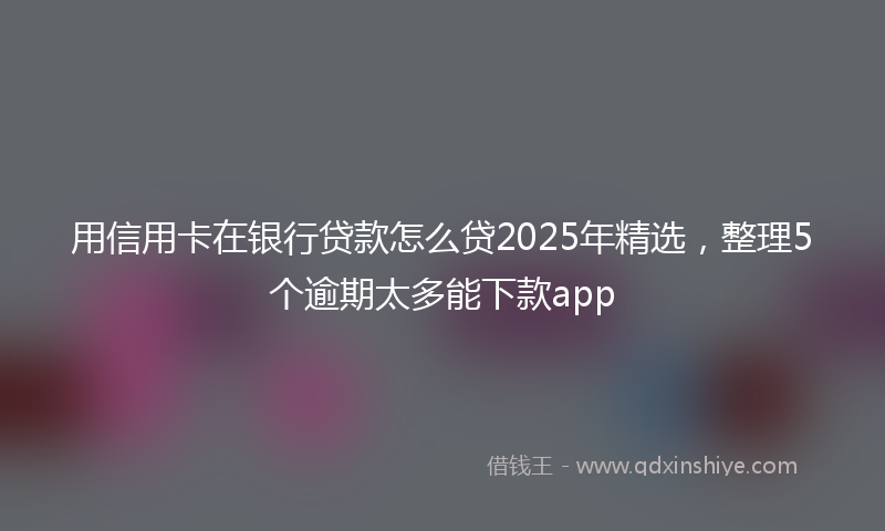 用信用卡在银行贷款怎么贷2025年精选,整理5个逾期太多能下款app