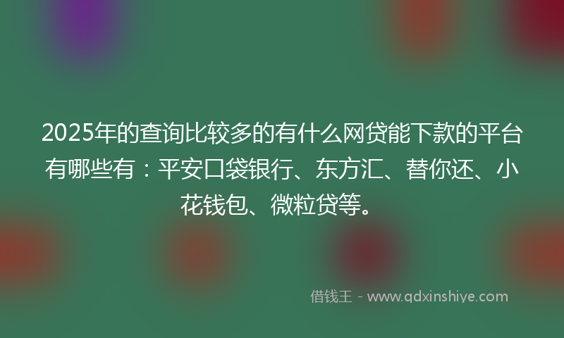 2025年的查询比较多的有什么网贷能下款的平台有哪些有：平安口袋银行、东方汇、替你还、小花钱包、微粒贷等。