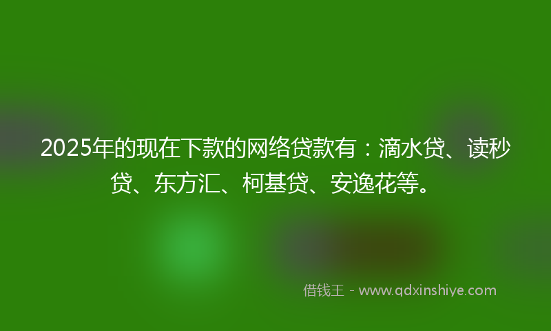 2025年的现在下款的网络贷款有：滴水贷、读秒贷、东方汇、柯基贷、安逸花等。